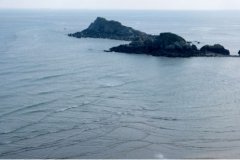 「方块海」奇景现踪 秋冬马祖再添神秘