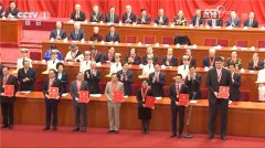 以表彰为前行动力,李东生获改革开放