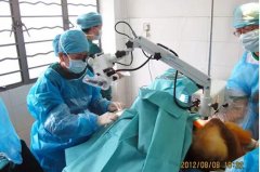 医者艾碧君:显微镜下指尖律动,方寸