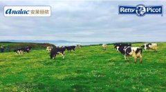 安莱俪依”新鲜”活力备受90后消费者青睐