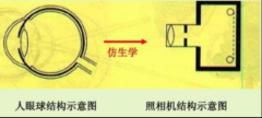 角膜移植,修复眼睛这架“照相机”的